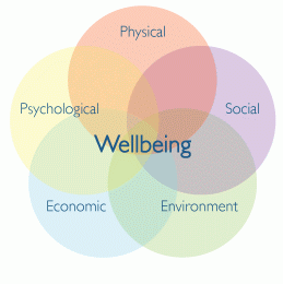 wellbeing circles