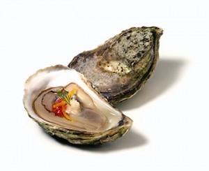 oysters300x245